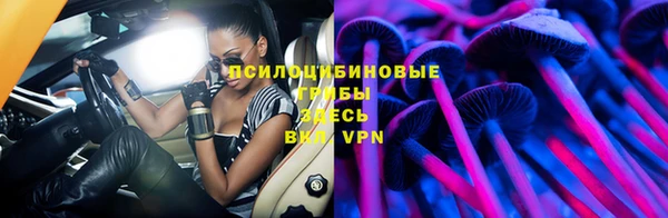PSILOCYBIN Майский