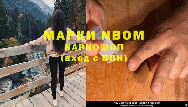 PSILOCYBIN Майский