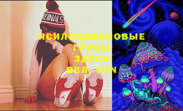 PSILOCYBIN Майский