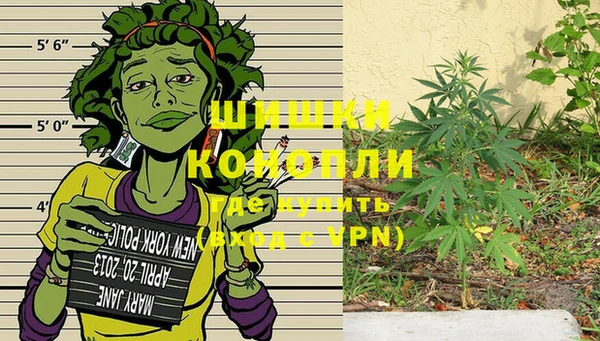 PSILOCYBIN Майский