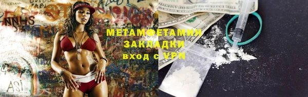 PSILOCYBIN Майский