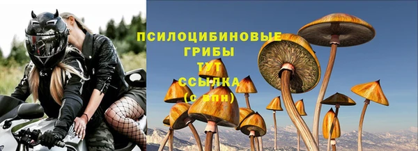 гидропоника Магас