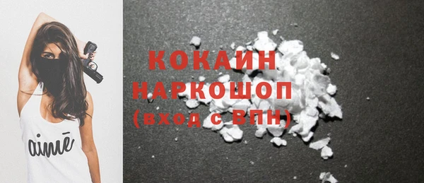 PSILOCYBIN Майский