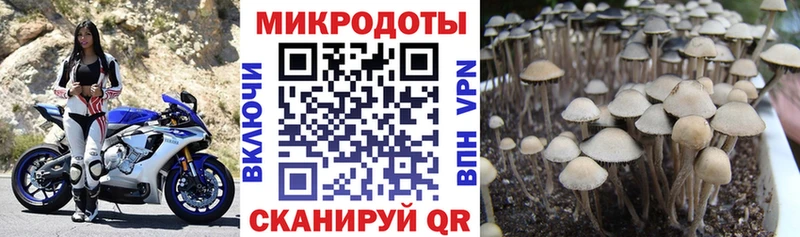 omg как зайти  даркнет сайт  Питкяранта  Псилоцибиновые грибы MAGIC MUSHROOMS 