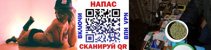 Канабис индика hydra ссылка Питкяранта купить